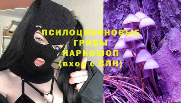 стаф Наволоки
