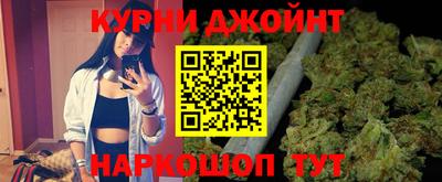 СК Гатчина