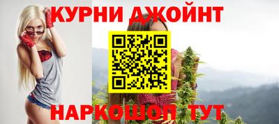 СК Гатчина