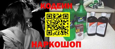 СК Гатчина