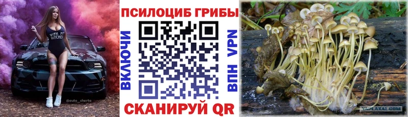 Псилоцибиновые грибы MAGIC MUSHROOMS omg вход Избербаш хочу