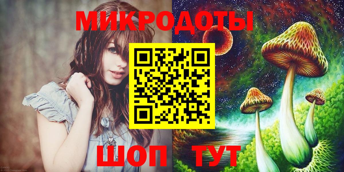 Галлюциногенные грибы Psilocybe Избербаш