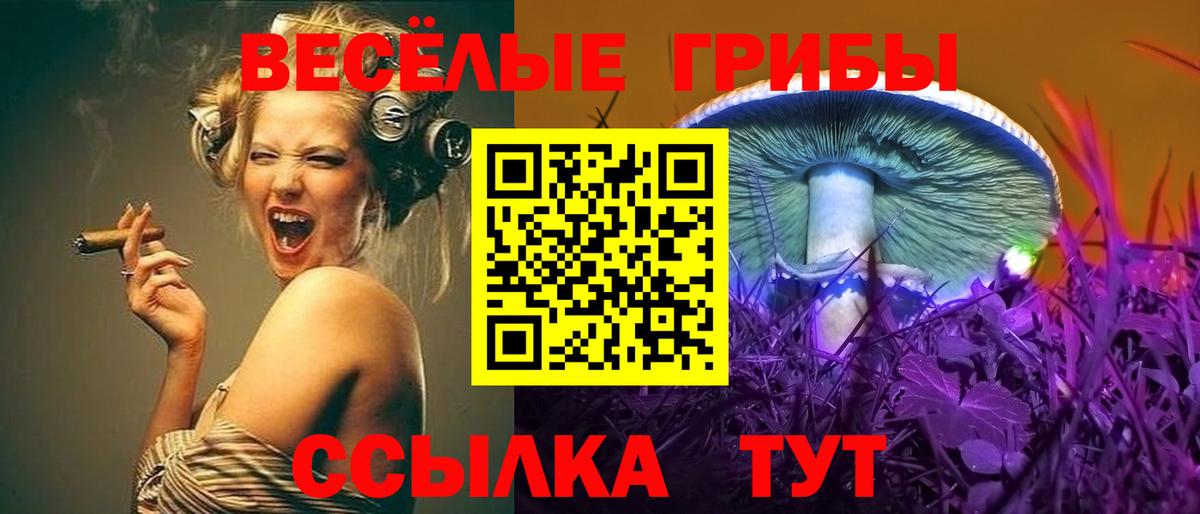 Галлюциногенные грибы мухоморы  Вход с VPN  Избербаш 